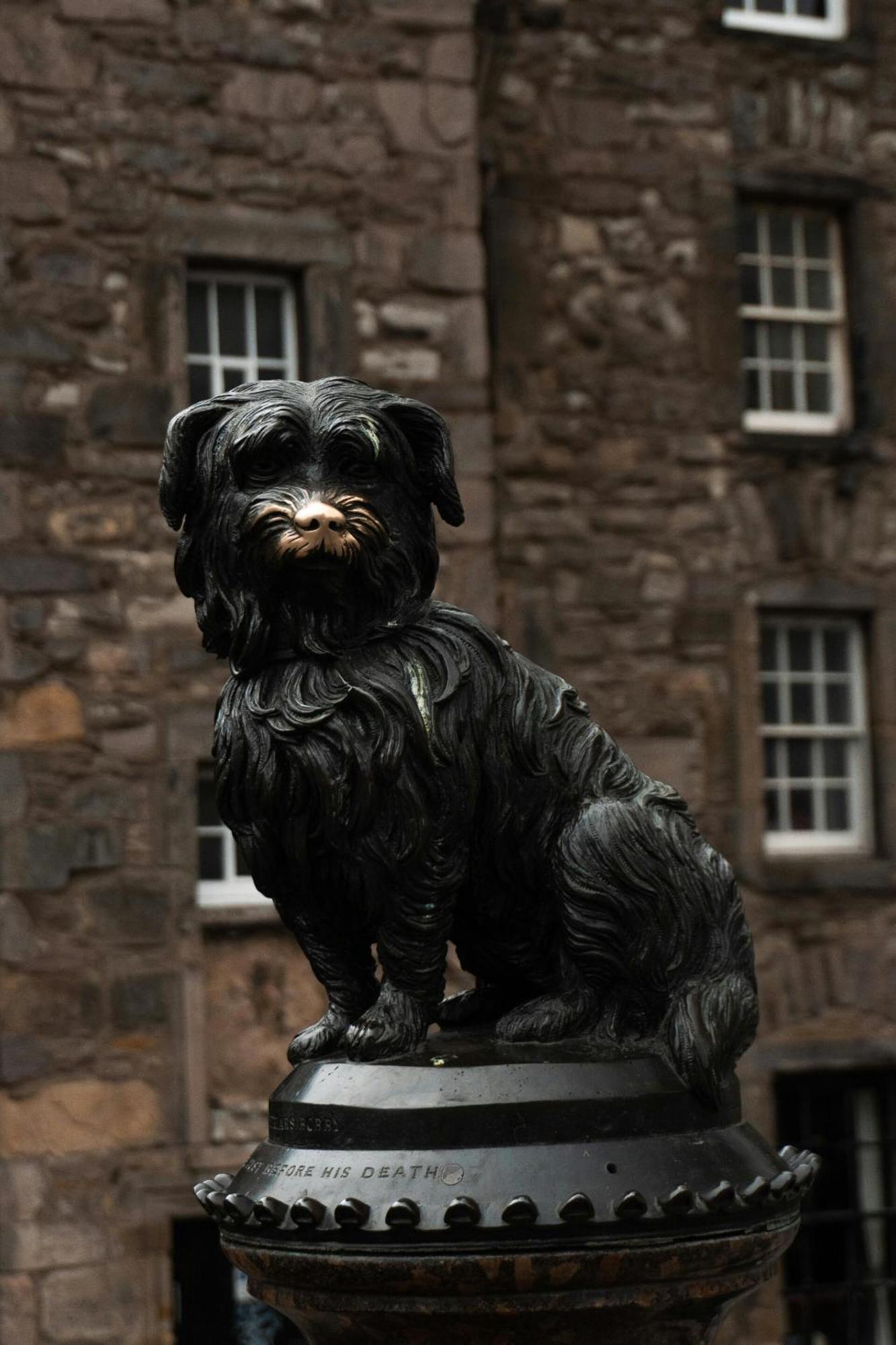 Greyfriars Studio Edinburgh Luaran gambar